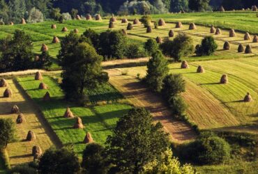 Bukovina Travel Guide