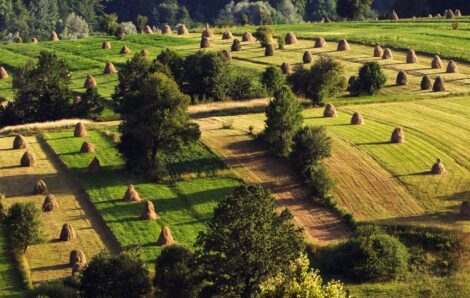 Bukovina Travel Guide