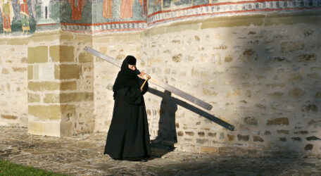 ManastireaSucevitaMaicutaCuToaca - Copy