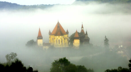 KONICA MINOLTA DIGITAL CAMERA